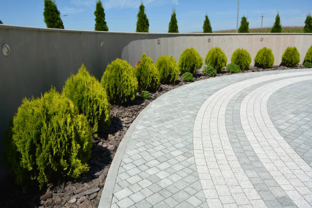 Professional Driveway Pavers in Pacific, WA
